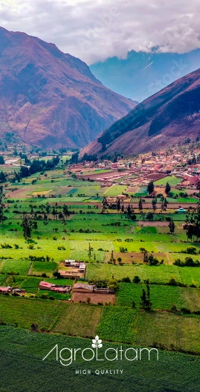 agro-latam-products